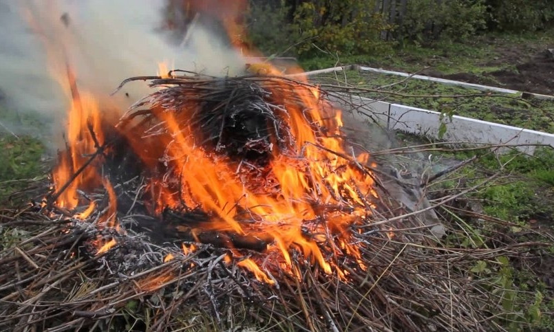 На Николаевщине умерла пенсионерка, которая загорелась во время сжигания мусора