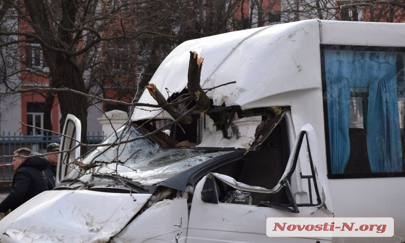 «Это стихия»: дерево, которое упало вчера на маршрутку в Николаеве, не было аварийным