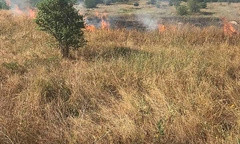 Из-за поджога и неосторожного обращения с огнем в Очакове и Николаеве произошли пожары на открытых территориях