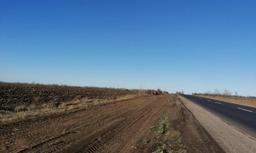Вдоль отремонтированной трассы «Кропивницкий-Николаев» высадят деревьев почти на 2 миллиона