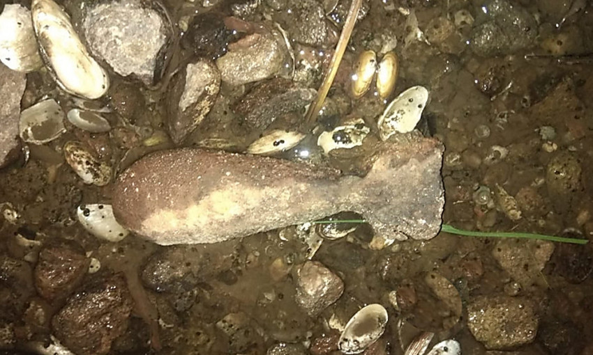 Во время рыбалки житель Кривоозерского района обнаружил минометную мину