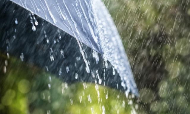 Значительные дожди и порывы ветра – на сегодня синоптики прогнозируют ухудшение погоды в Николаевской области 