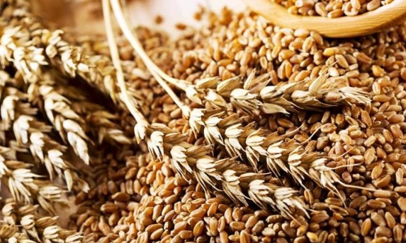 В Николаевской области увеличился экспорт зерновых культур предприятиями области 