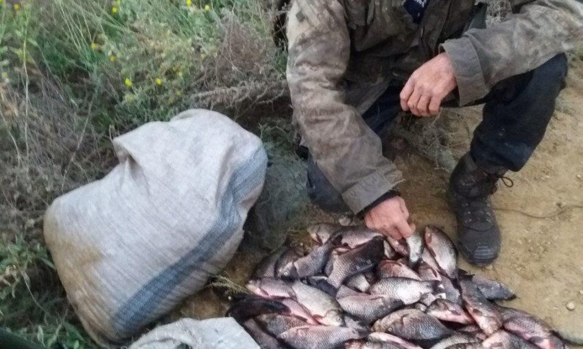В Березнеговатском районе полицейские обнаружили четырех браконьеров с сетками и с крупным уловом рыбы