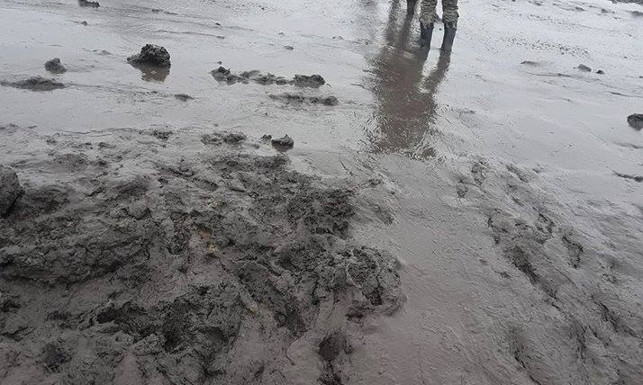 В сети пожаловались на ужасные условия на Широком Лане: «Ад на земле»