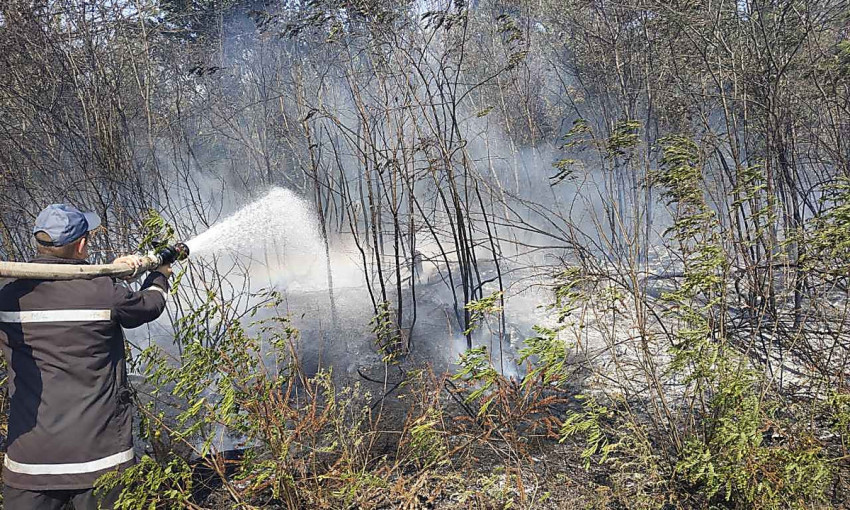 В Николаевской области из-за поджогов неизвестными произошли пожары в двух лесных урочищах