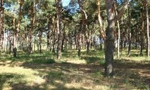 Прокуратура вернула государству еще один земельный участок лесного фонда в урочище «Жовтневе»