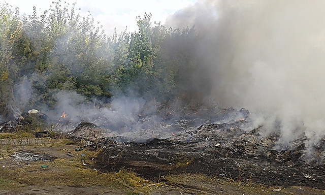 Под Николаевом горит мусор и сухостой на городской свалке