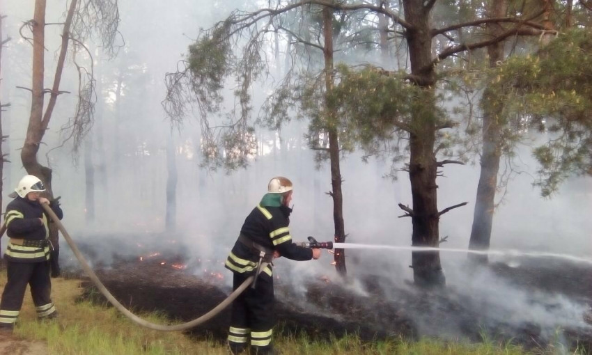 За одни сутки в Николаевской области было три лесных пожара