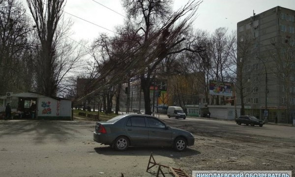 На Богоявленском проспекте из-за сильного порыва ветра тополь упал на электропровода, трамваи не ходят