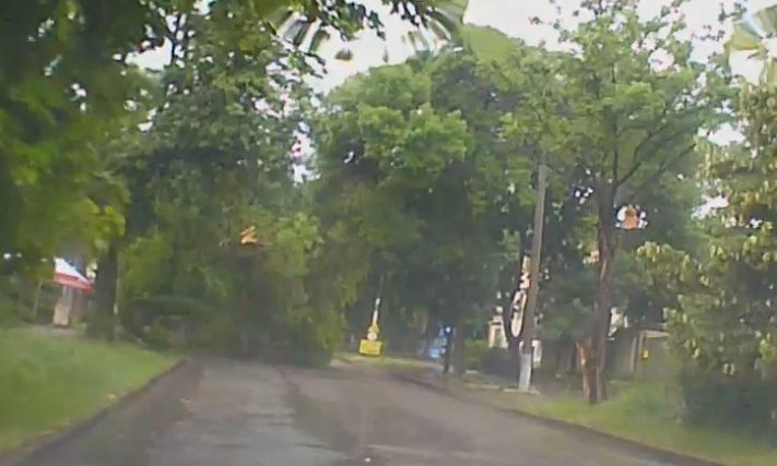 На улице Наваринская на проезжую часть рухнуло дерево и перекрыло один ряд дороги