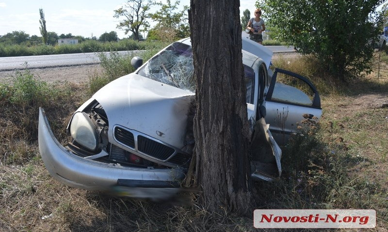 Под Николаевом ДТП из-за ямы на дороге: «Ланос» в дереве, один пострадавший