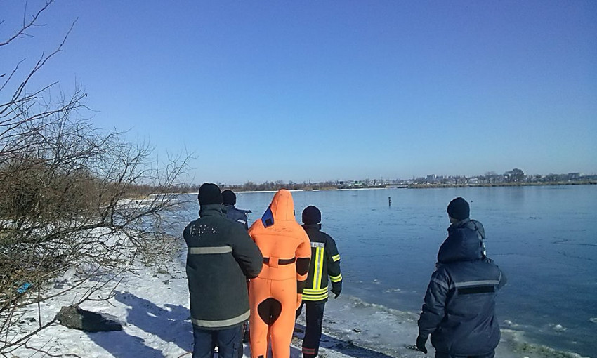 В  Николаеве спасали лебедей, которые примерзли ко льду на реке