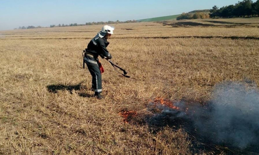 В Баштанском районе на поле загорелась стерня