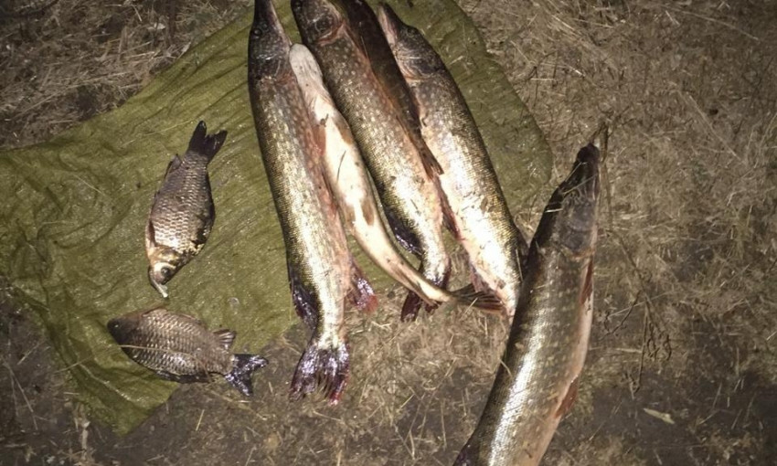 В Николаевской области правоохранители обнаружили запрещенные орудия для лова водных биоресурсов и браконьера с уловом
