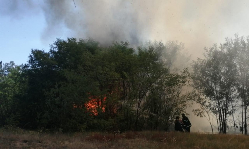 Под угрозой огня оказались дачи – масштабный пожар в районе Галициновского урочища