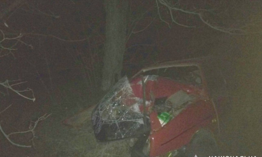 На трассе «Новониколаевка-Ковалевка» автомобиль слетел в кювет и врезался в дерево, водитель погиб на месте