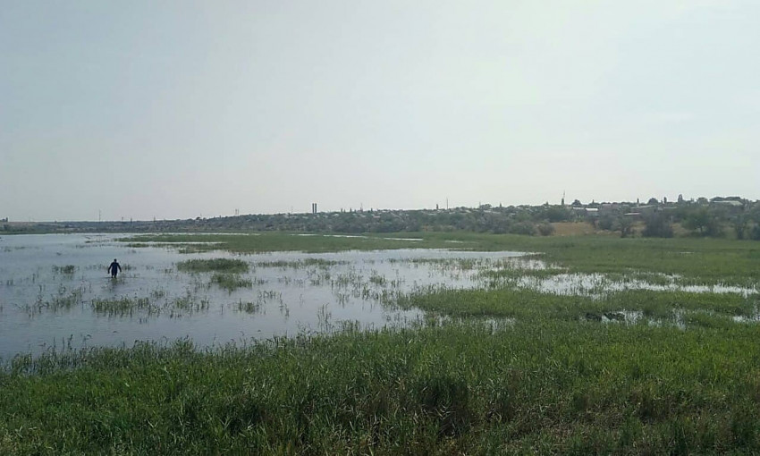 В Витовском районе в пруду нашли тело утонувшего пастуха