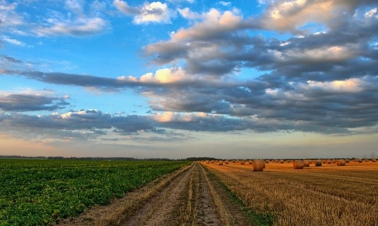 На Николаевщине фермеры обманом завладели землей стоимостью более 1,6 млн грн