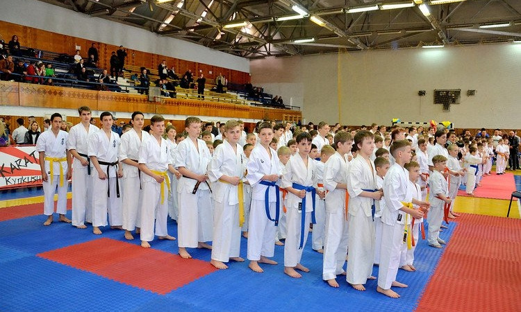 Николаевские юниоры завоевали 33 медали на чемпионате по каратэ