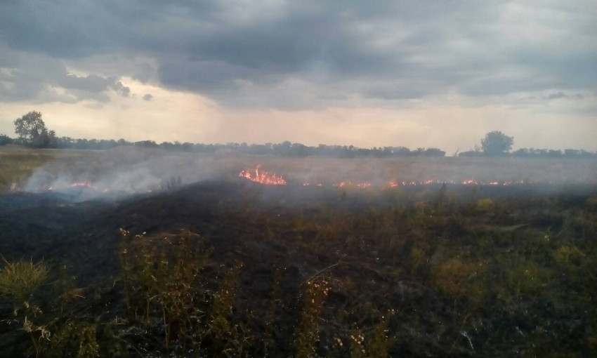 На открытых территориях Николаевской области сгорело более семи гектар сухой травы и кустарников