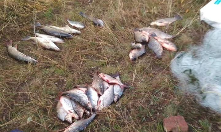 В Софиевском водохранилище задержали двух браконьеров с 37 килограммами биоресурсов