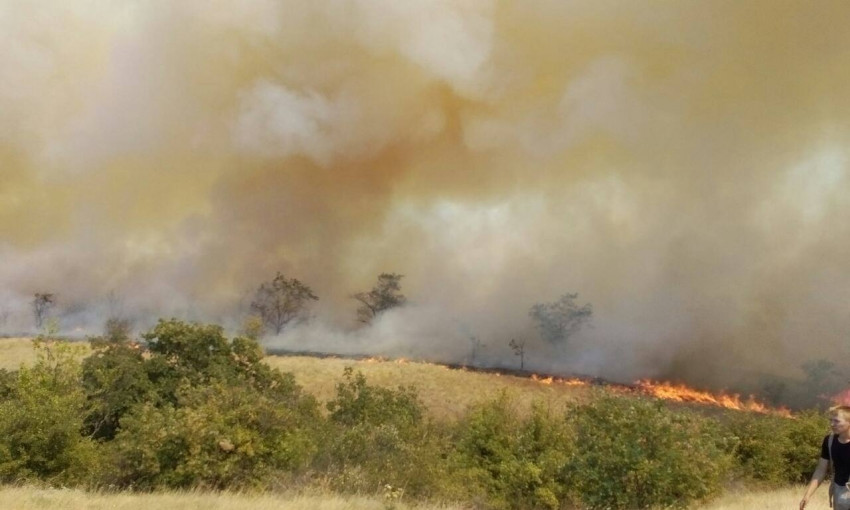 В Снигиревском районе горело 30 гектаров леса