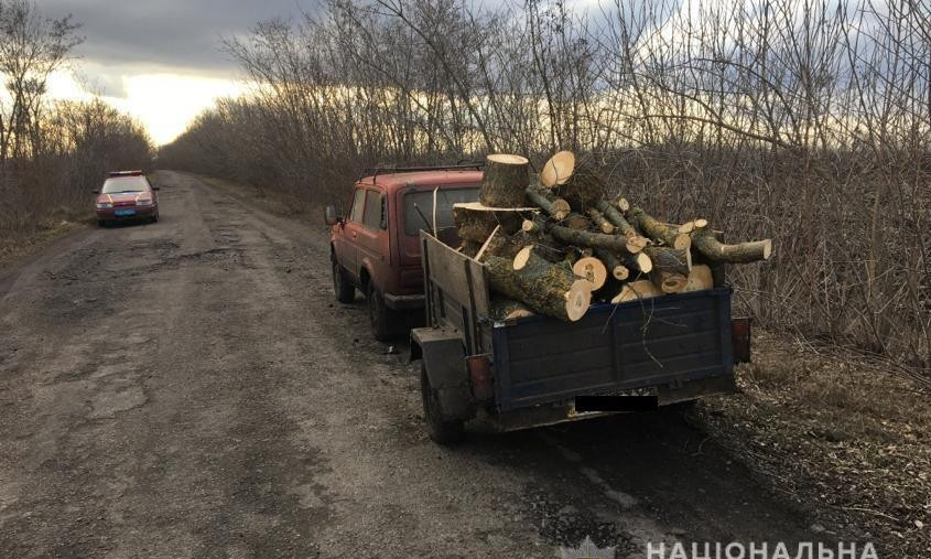 На Николаевщине мужчина незаконно спилил дерево клена и пытался перевезти его полуприцепом, но его поймала полиция