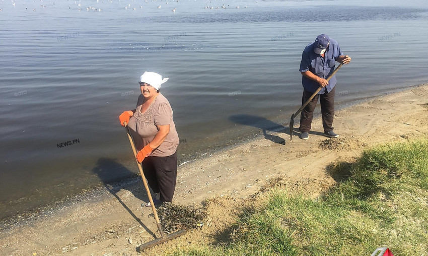 В Николаеве коммунальщики проводят уборку пляжа «Стрелка» от мертвой рыбы