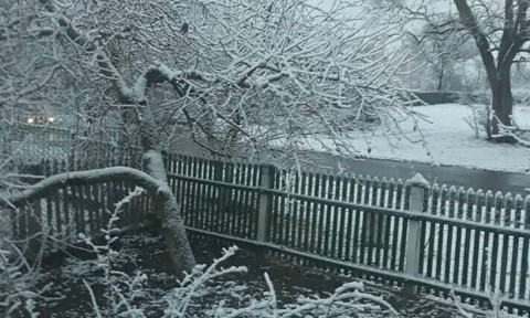В Николаевской области выпал первый снег