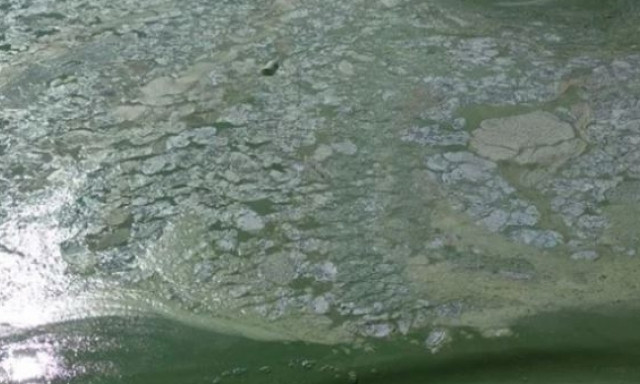 Странного цвета вода в районе николаевского пляжа – экологи сообщили о превышении одного из показателей