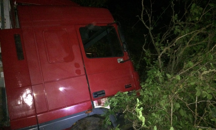 В Николаевской области на трассе автомобиль вылетел в кювет, есть погибшие