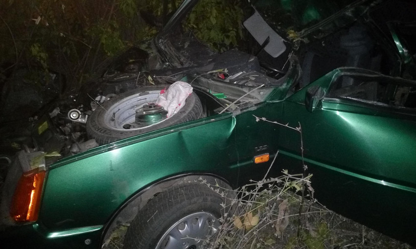 В Николаевской области «Славута» врезалась в дерево – водитель погиб, его пассажирка получила травмы