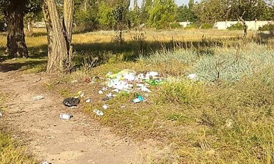 В Николаеве лицеисты после занятия в Матвеевском лесу оставили после себя кучи мусора