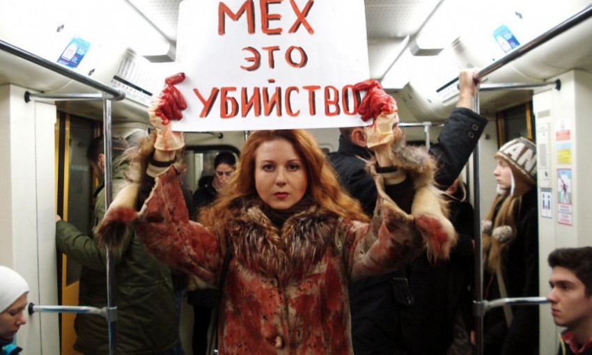 Николаевцев приглашают на акцию против убийства животных ради меха