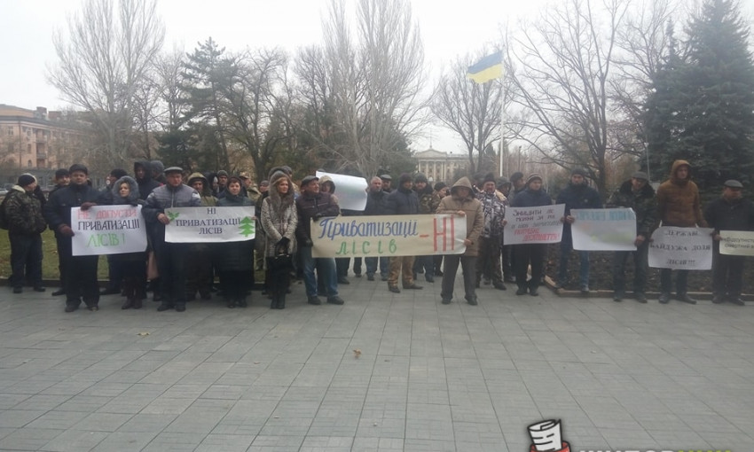 В Николаеве возле здания ОГА митингуют против приватизации лесного хозяйства