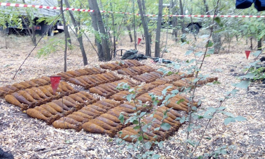 В Николаевской области в лесополосе обнаружен целый арсенал минометных мин времен Второй мировой войны