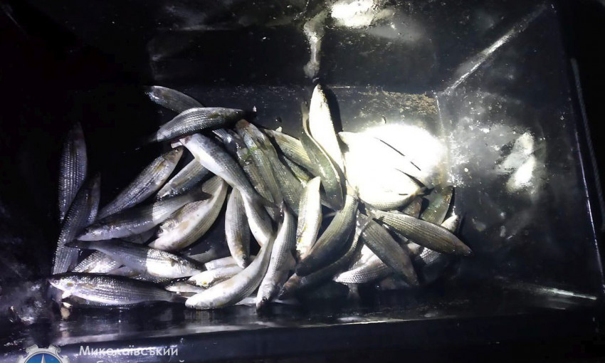 Сотрудники николаевского рыбоохранного патруля задержали браконьера, нанесшего ущерб на 30 тысяч гривен