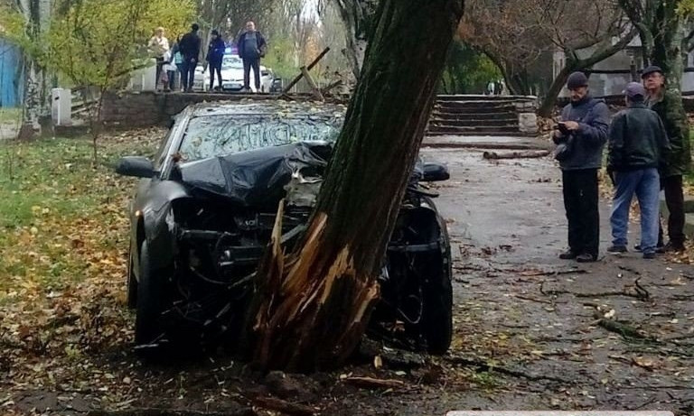 В Николаеве «Ауди» свалил дерево в парке — водитель скрылся на кабриолете