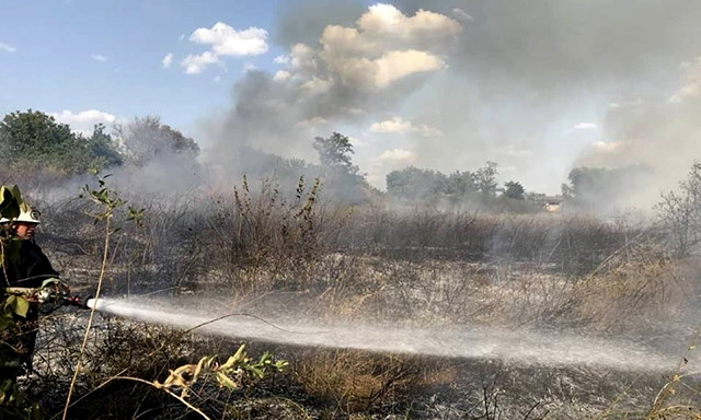Спасатели обеспокоены количеством пожаров в экосистемах Николаевской области