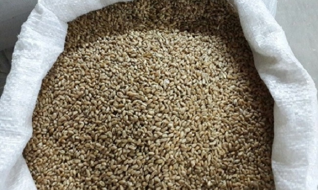 60 килограмм пшеницы украли на ферме в Николаевской области