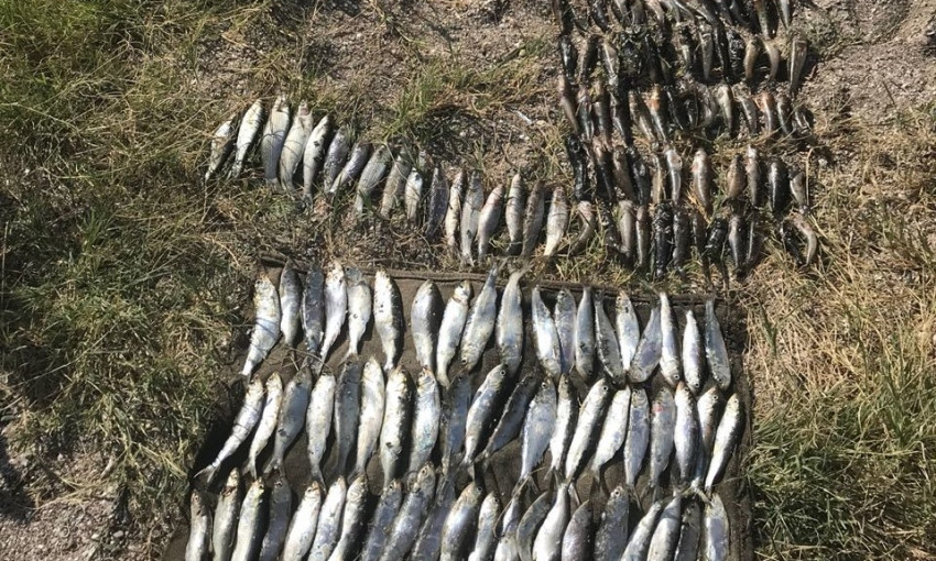 В Николаевской области пограничники задержали браконьера с уловом на сумму более 26 тысяч гривен