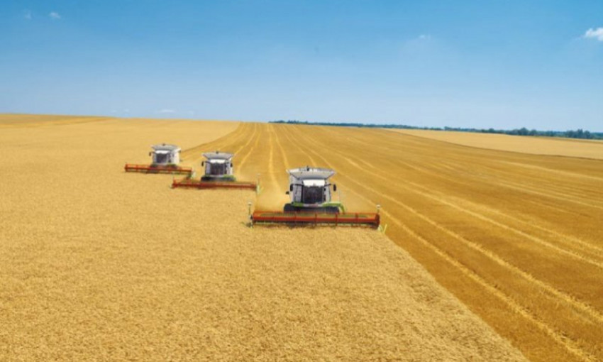 Земледельцы Николаевской области успели намолотить почти 76 тысяч тонн зерна нового урожая