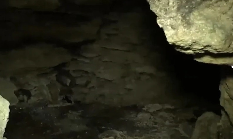 Известняковые пещеры Николаева готовят к открытию для туристов