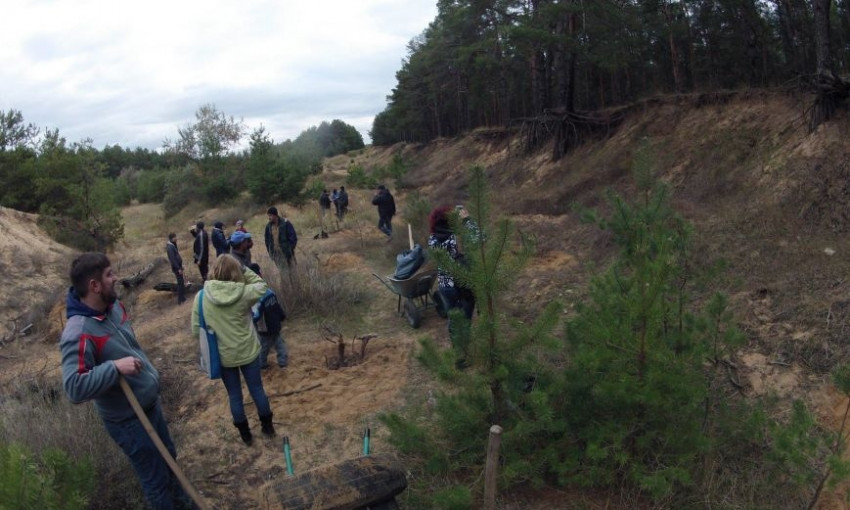 Активисты высадили деревья в Матвеевском лесу