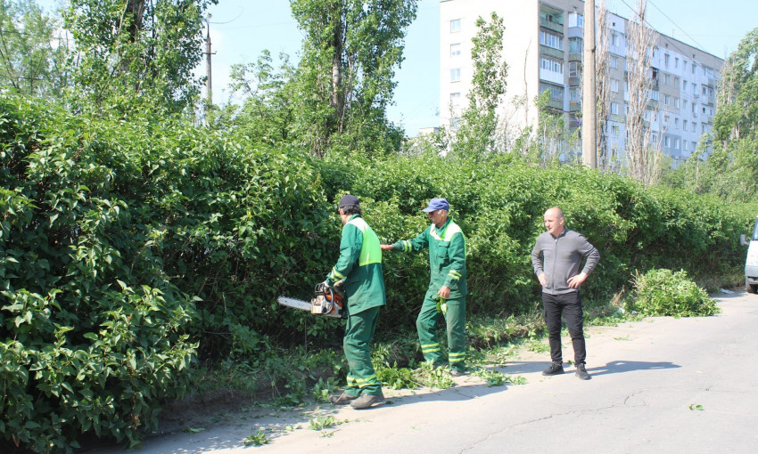 В Николаеве обрезали кусты, создающие опасность аварийных ситуаций