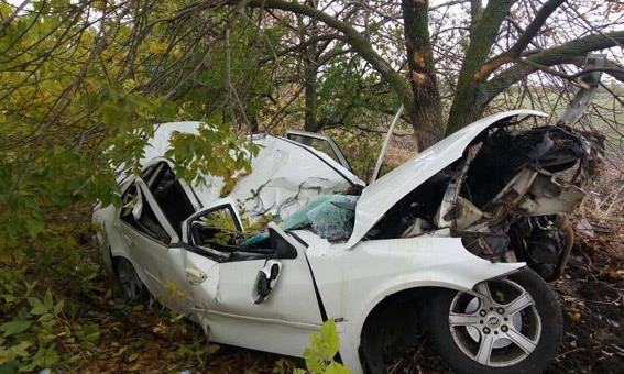 На Николаевщине автомобиль врезался в дерево