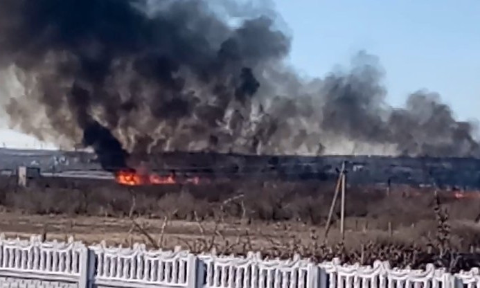 На Николаевщине продолжаются масштабные поджоги камыша