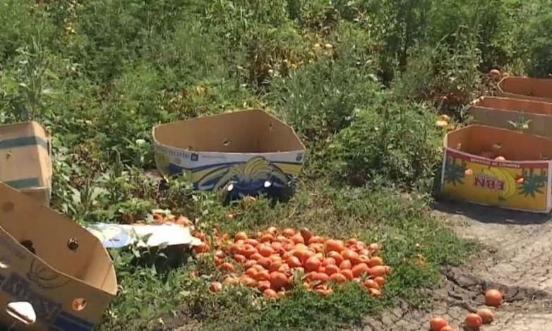 Убийство на Николаевщине из-за гнилого помидора - подробности