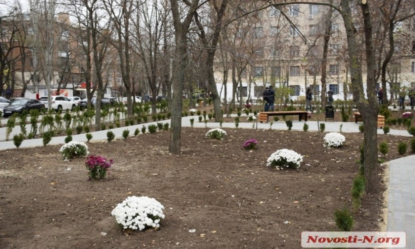 В Николаеве при озеленении сквера пропали кусты на четверть миллиона гривен